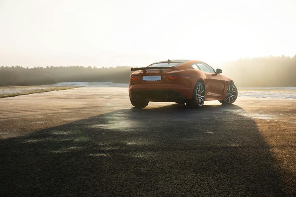 Transform your little black dress: chic accessory ideas for professional events